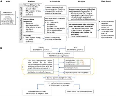 Circulating Levels of the Short-Chain Fatty Acid Acetate Mediate the Effect of the Gut Microbiome on Visceral Fat